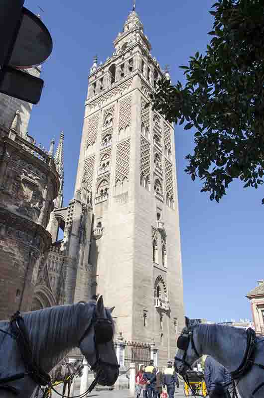 Sevilla 010 - catedral y Giralda.jpg